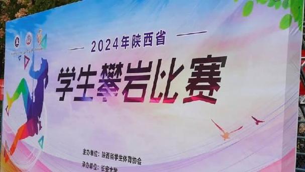 今日科普一下！全国性体育比赛,百科词条爱好_2024最新更新