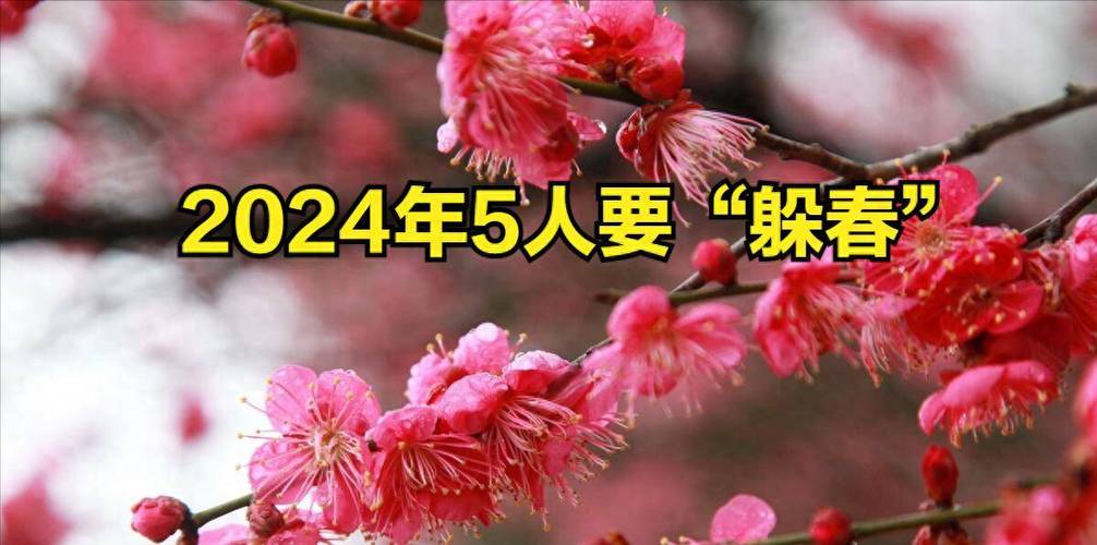 今日科普一下！今晚上必开一肖,百科词条爱好_2024最新更新