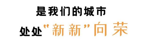 今日科普一下！全年资料免费大全将军令,百科词条爱好_2024最新更新